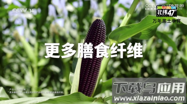 秋水视频tv版截图1