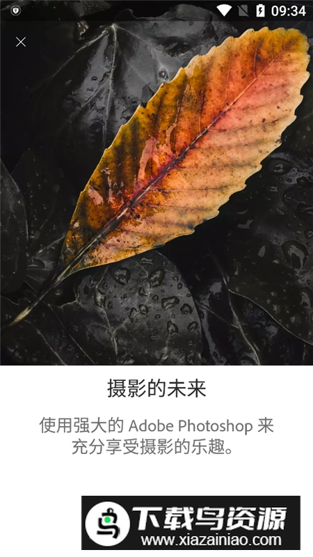 手机版lightroom不收费版截图1