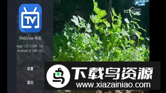 Webview电视版安装包更新最新版本截图6