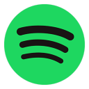 spotify谷歌商店版正版