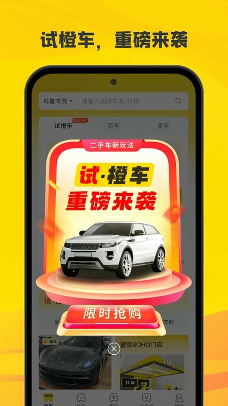 真橙二手车官方版