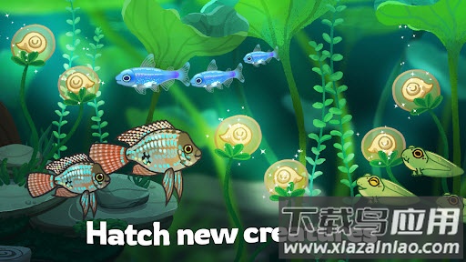 池趣养鱼游戏截图3
