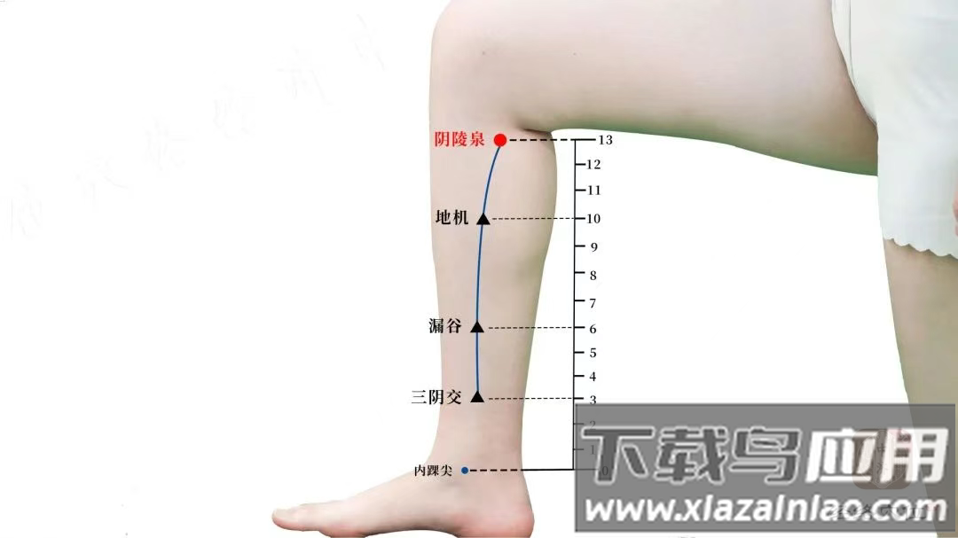 知源经络app官方版