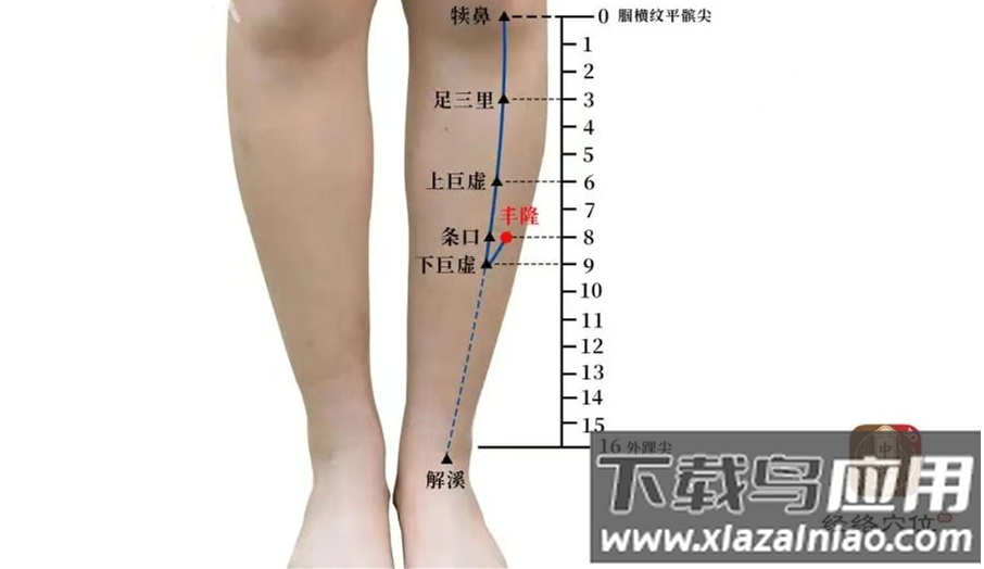 知源经络app官方版