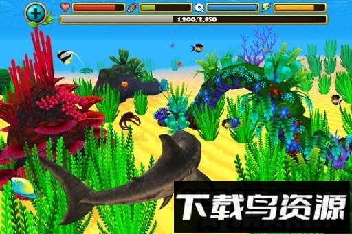 鲨鱼模拟器中文版截图1
