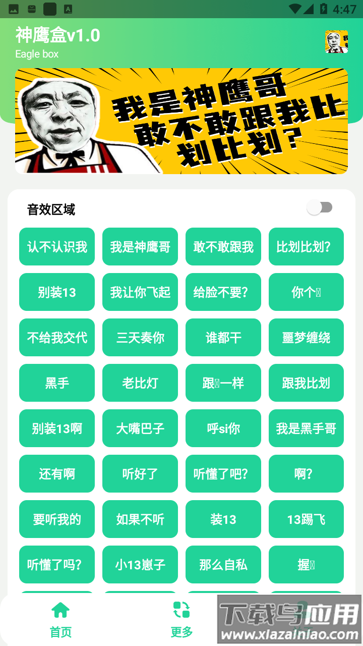 神鹰盒语音包截图2