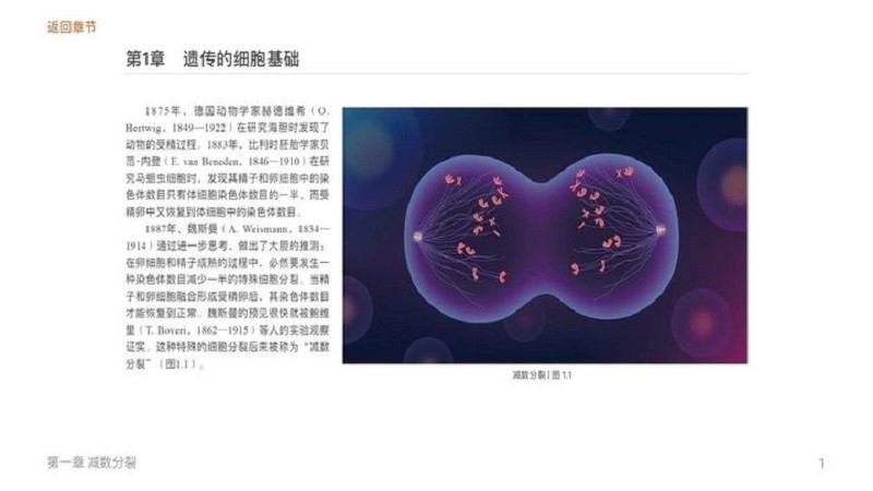 遗传与进化知识点截图2