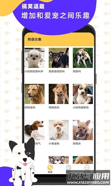 猫狗翻译神器最新版下载