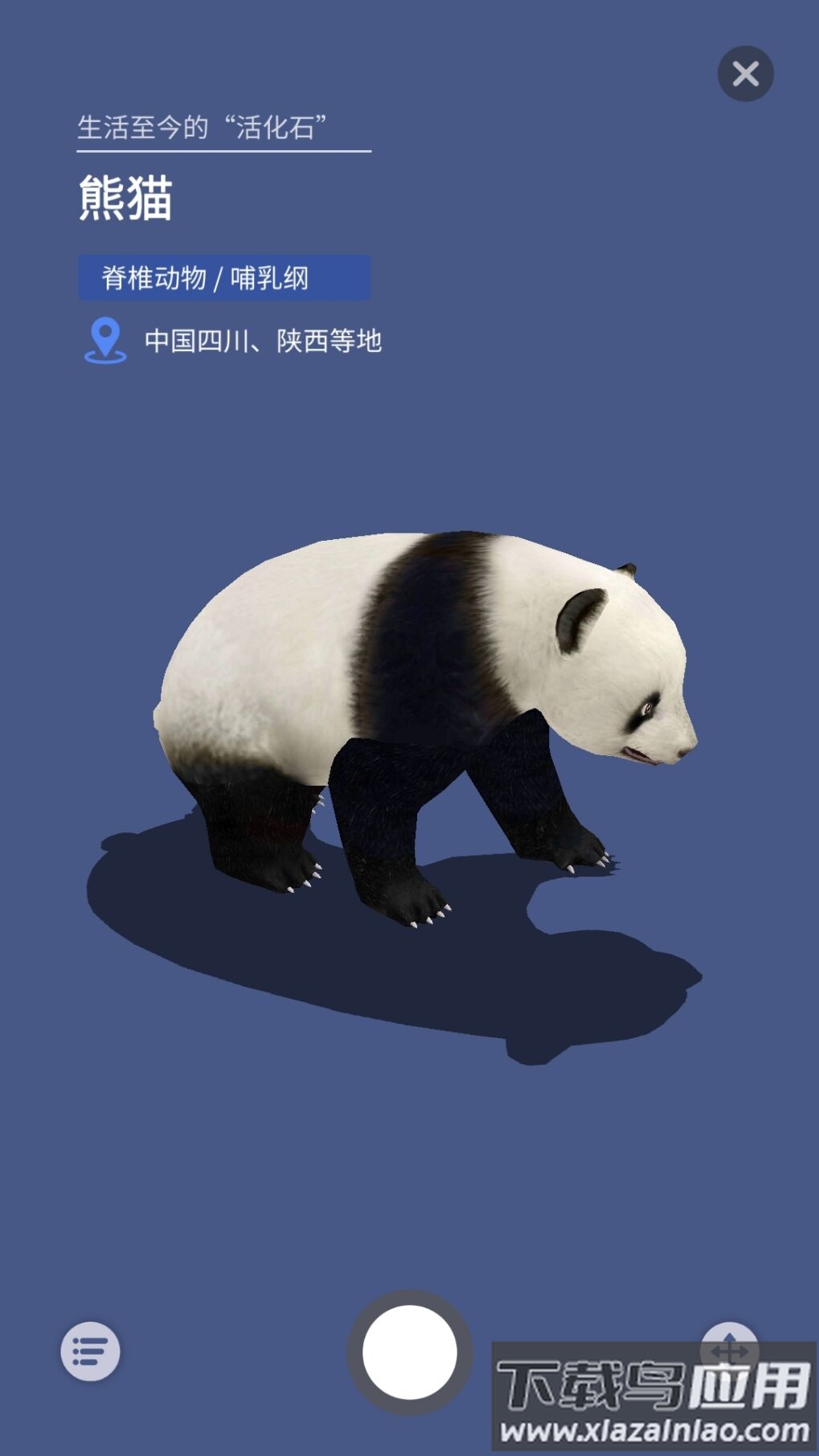 大眼探世界app下载最新版截图3