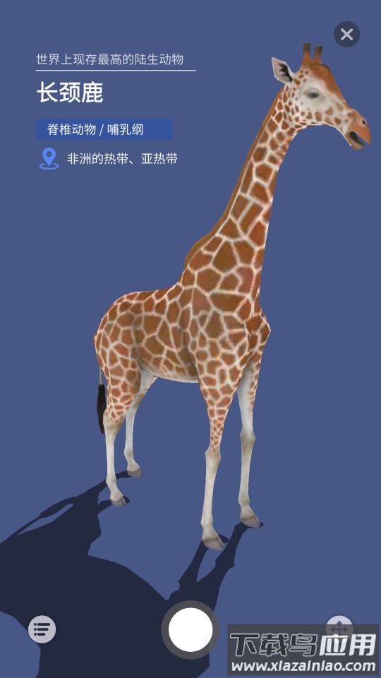 大眼探世界app下载最新版截图4