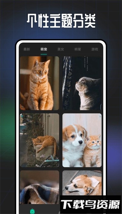遥望壁纸app官方版截图2