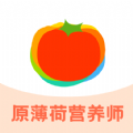 薄荷宝箱app官方版2025