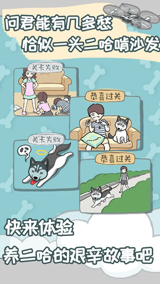 养只二哈不容易手游截图1