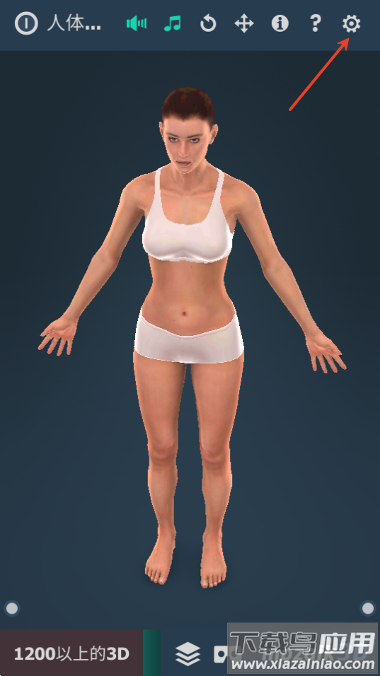 humanbody官方下载2025(Human body (female))