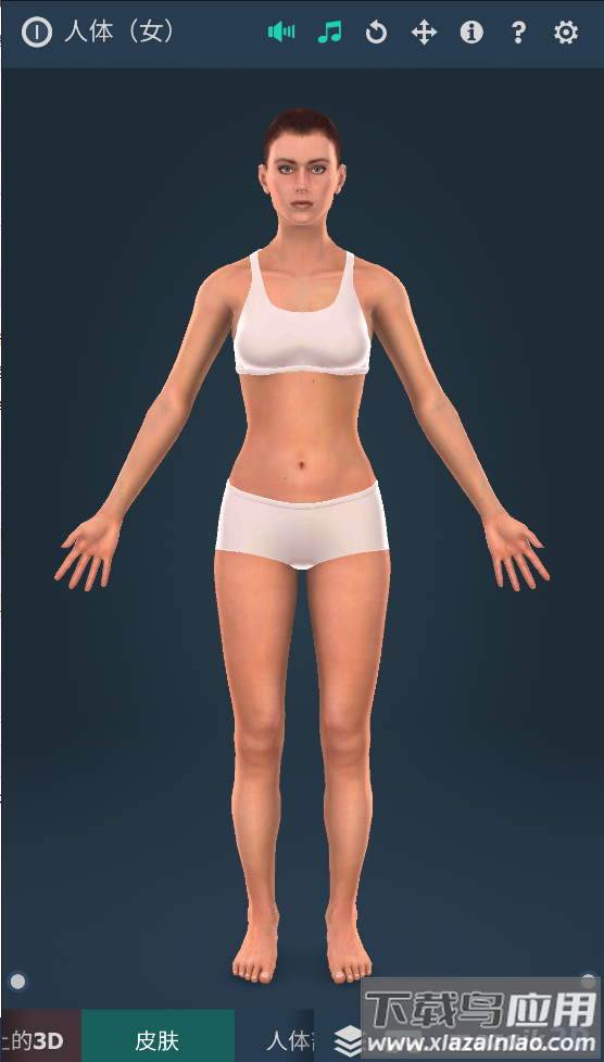 humanbody官方下载2025(Human body (female))截图1
