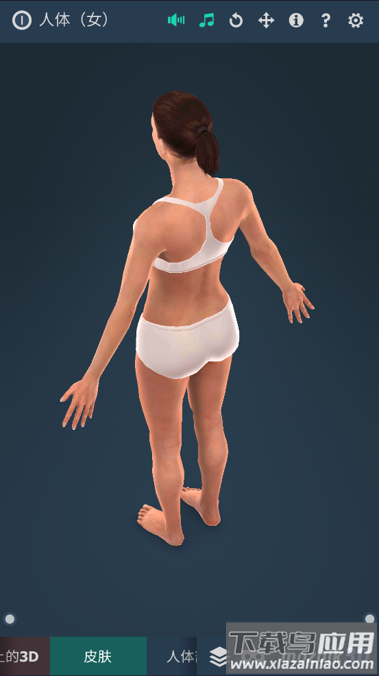 humanbody官方下载2025(Human body (female))截图2