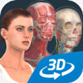 humanbody官方下载2025(Human body (female))