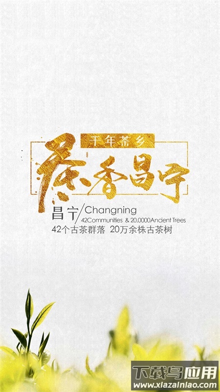 茶香昌宁APP
