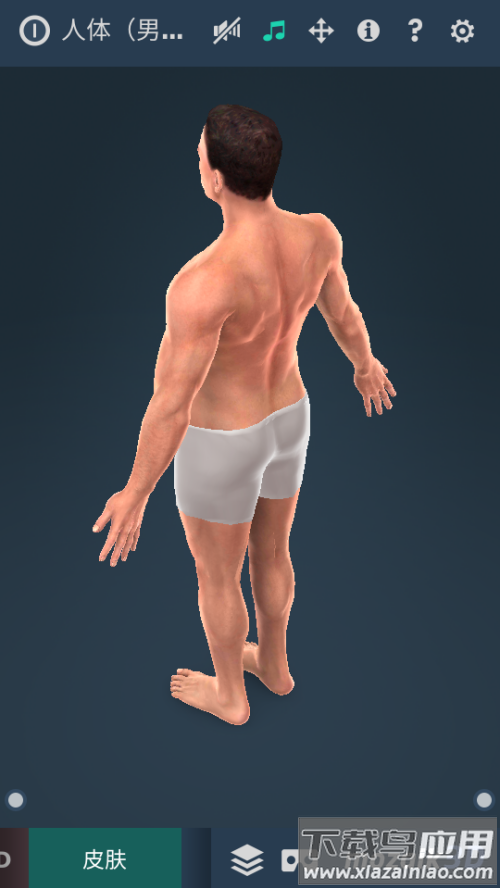 Humanbodymale软件截图4