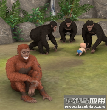 猿的进化Ape Evolution