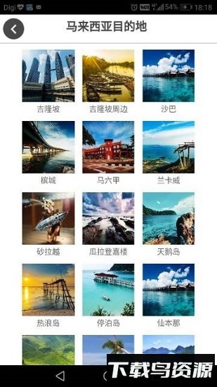 道地猫截图1