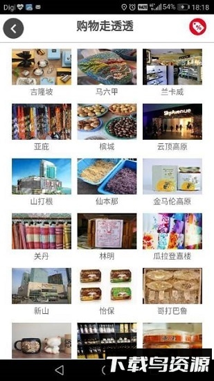 道地猫截图3