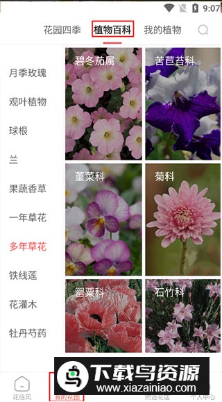 花信(花卉种植知识大全app)