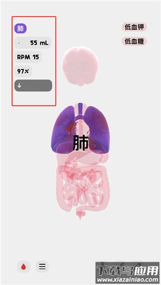 生命life安卓版中文