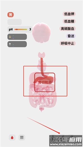 生命life安卓版中文