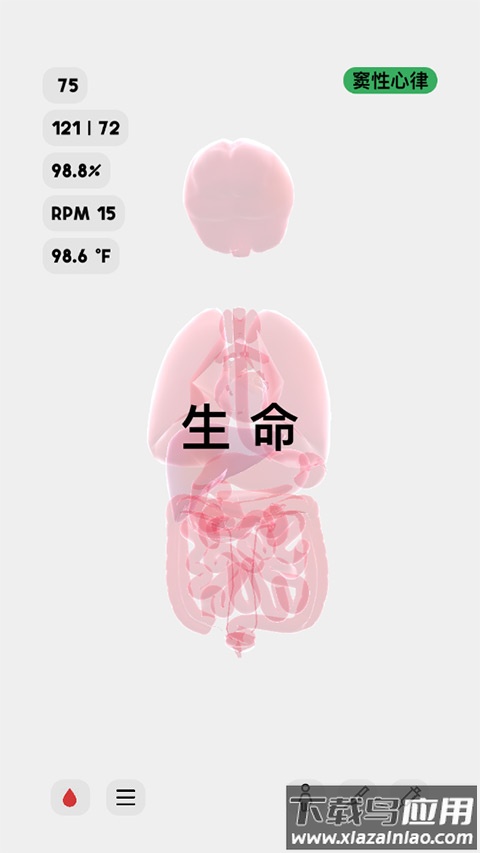 生命life安卓版中文截图1