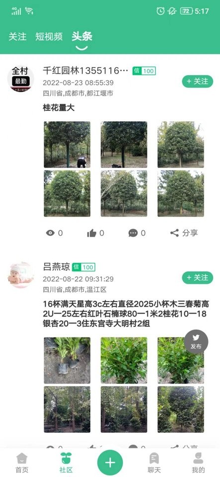 树之道最新版截图2