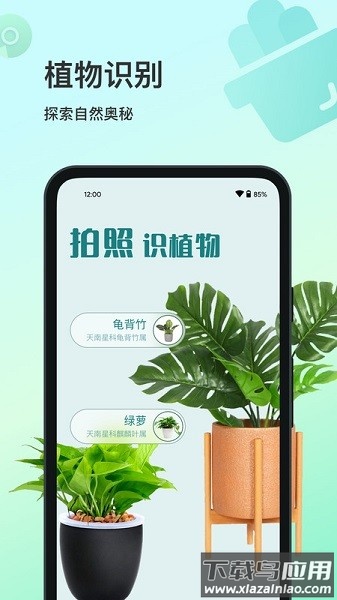 花卉识别软件免费版截图1
