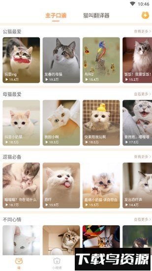 逗猫咪软件截图3
