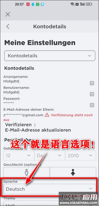 罗布乐思国际服中文版