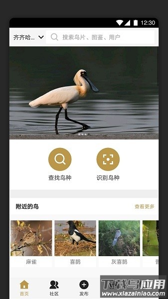 识鸟家软件截图1