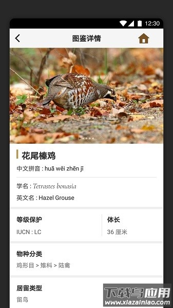 识鸟家软件截图3