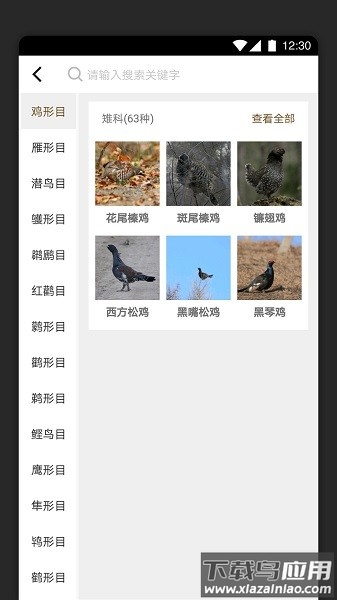 识鸟家软件截图4