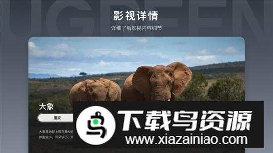 绿联云NAS电视版最新版截图5