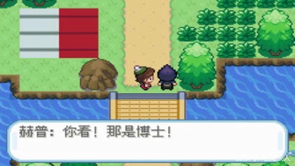 精灵宝可梦剑盾正版(口袋妖怪剑盾)截图3