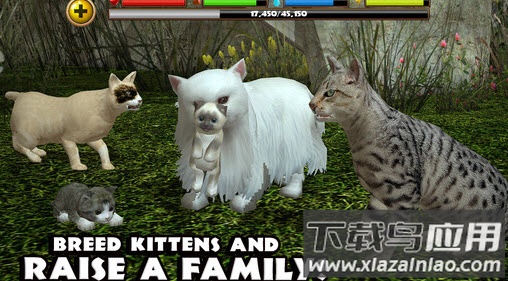 流浪猫模拟器(StrayCatSim)截图1