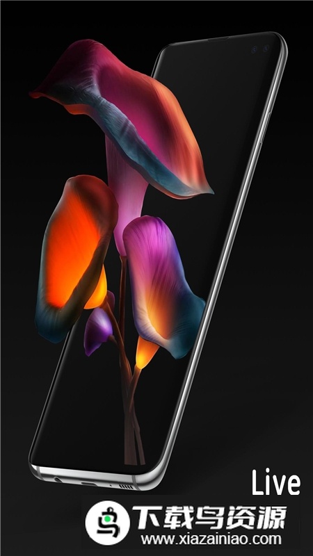 谷歌pixel4D宝可梦壁纸提取版截图3