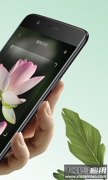 万物识图手机版截图1