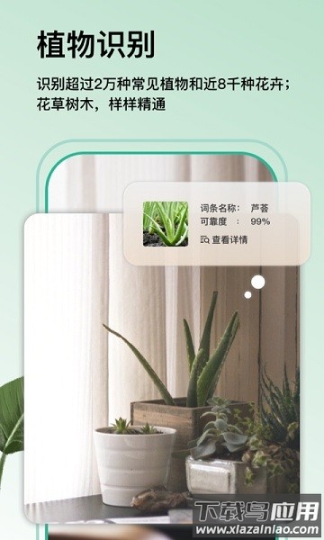 万物识图手机版截图3
