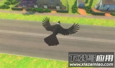 幻想乌鸦飞行游戏下载(Fantasy Crow flying game)截图4