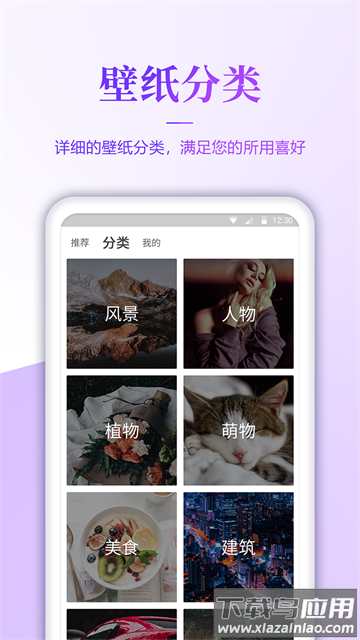 番茄动态壁纸手机版