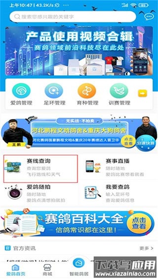 爱鸽者app官方版