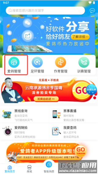 爱鸽者app官方版