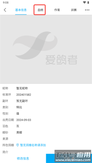 爱鸽者app官方版