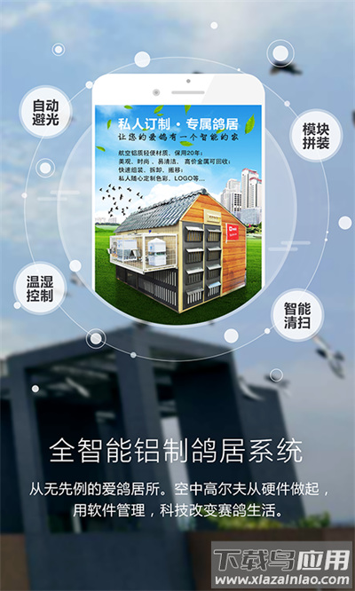 爱鸽者app官方版截图2