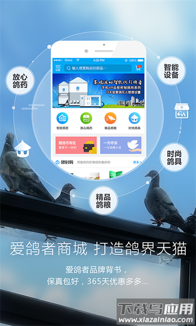 爱鸽者app官方版截图3